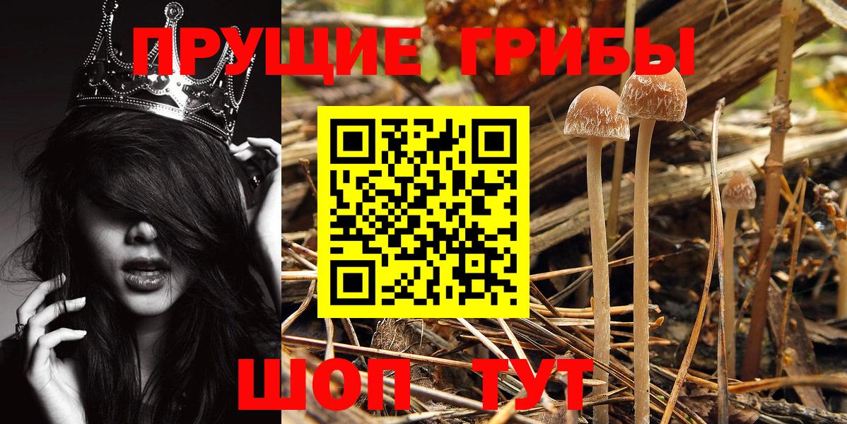 Галлюциногенные грибы Magic Shrooms Ставрополь