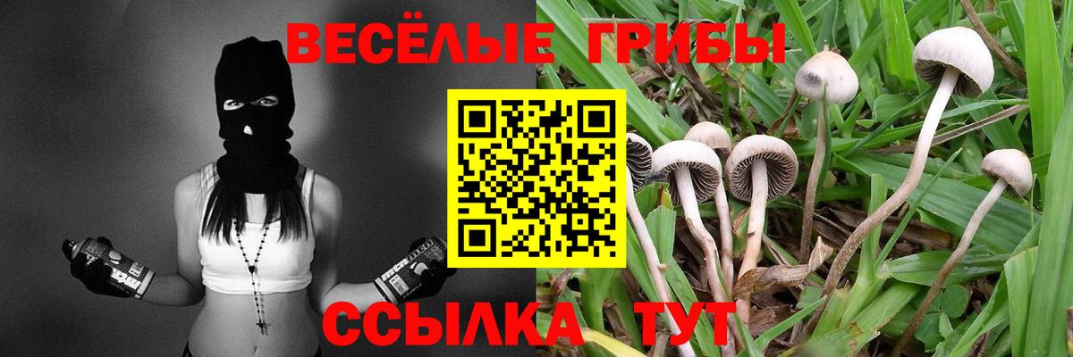 Галлюциногенные грибы Cubensis  Галлюциногенные грибы мицелий  Вход с VPN  Ставрополь 